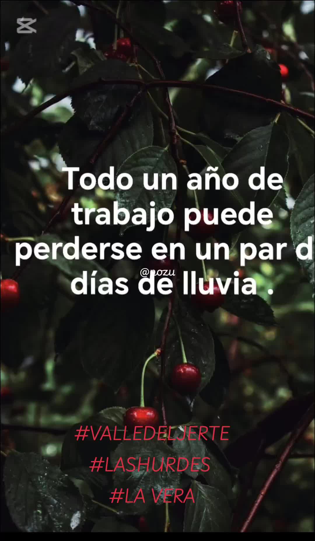@POZU