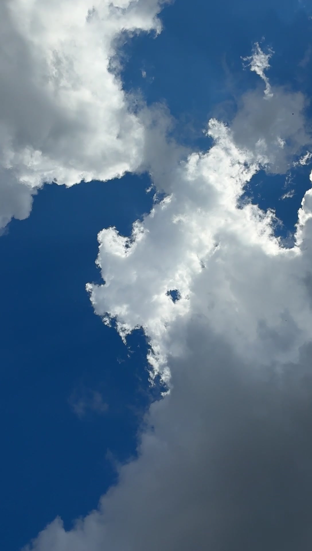 @twin 🤩🚀👽🌤️🔭🧐💙🩵🧪