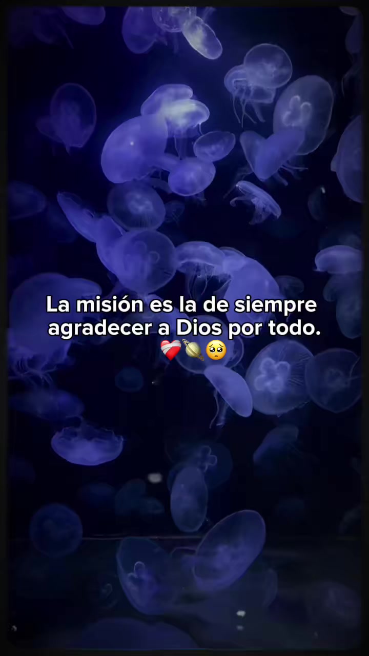 @Graciela Montes