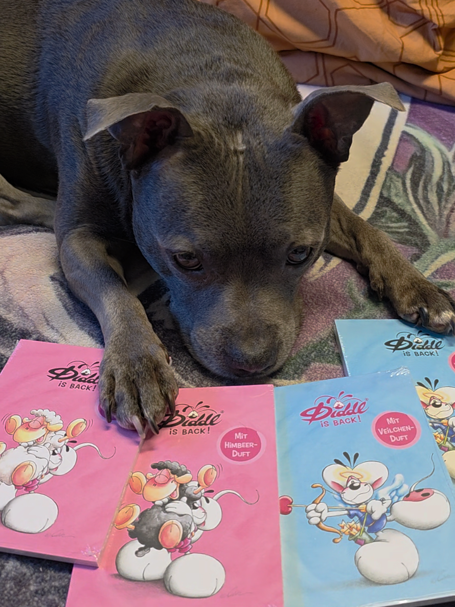 @Zara Alukanija Kiyomi 🐕🐾