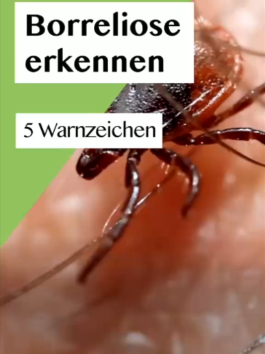 @Onmeda.de