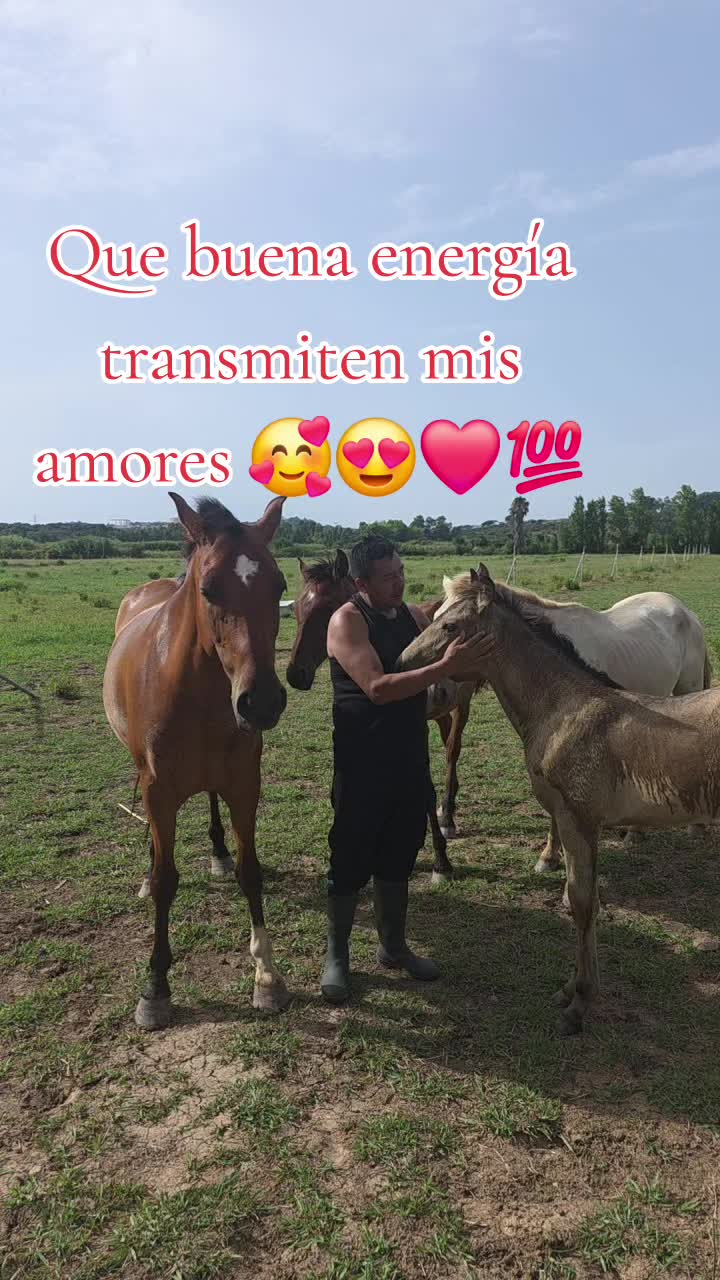@@rinconlatino