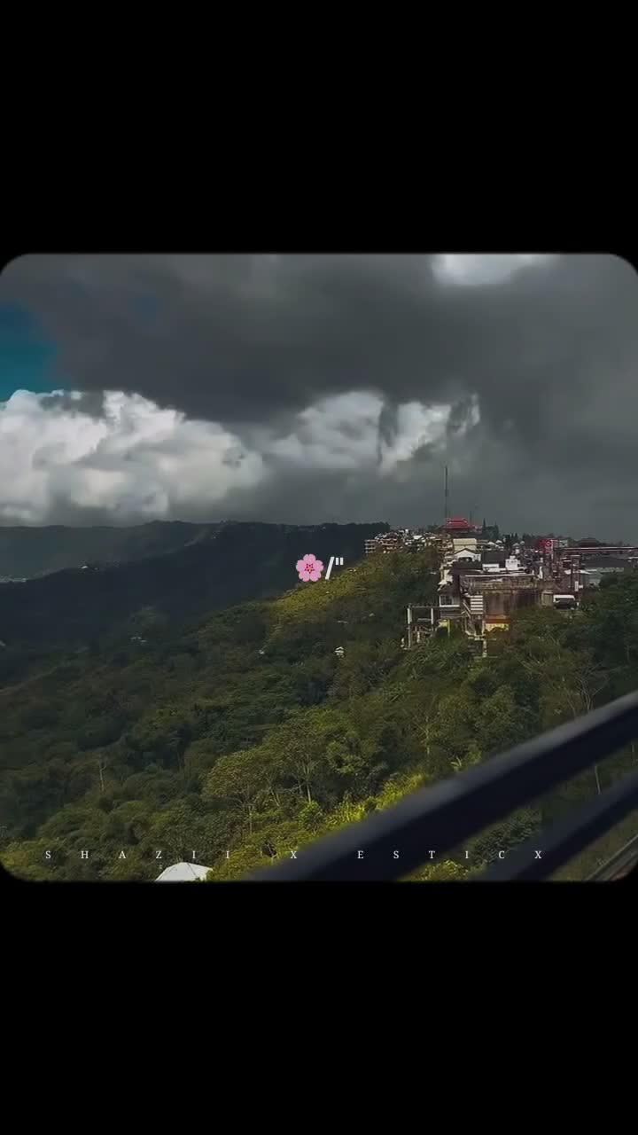 @Your-shazii-🐼🥂
