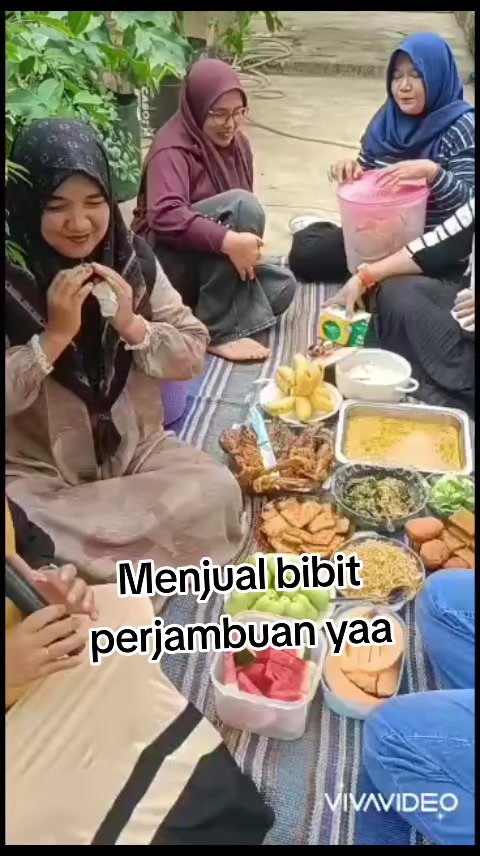 @Bibit khusus samarinda