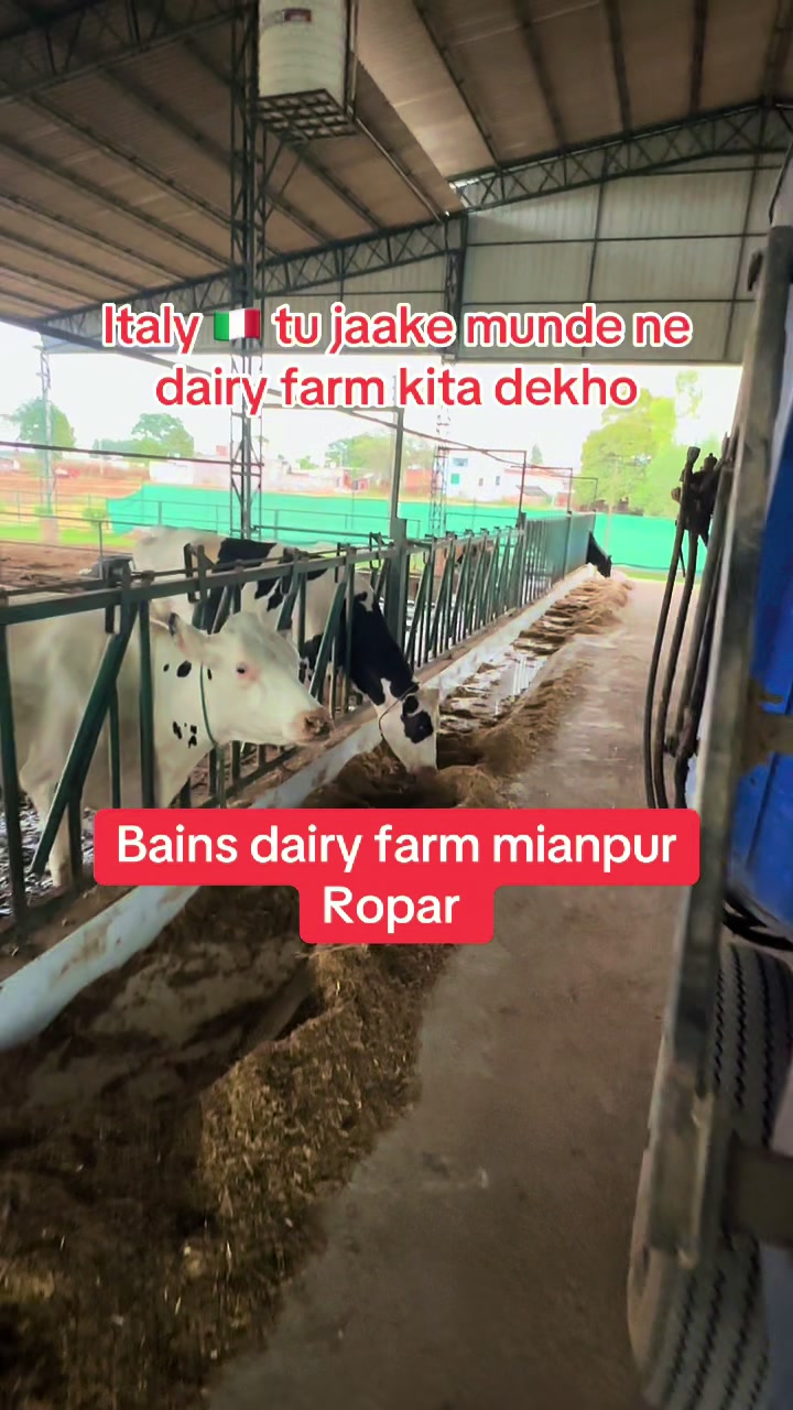@Happy Mianpur
