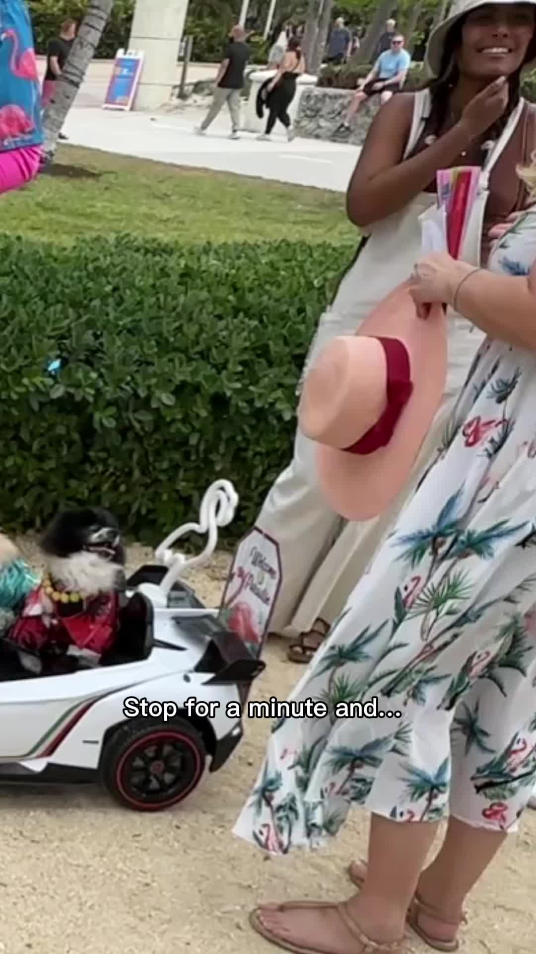 @Daniele