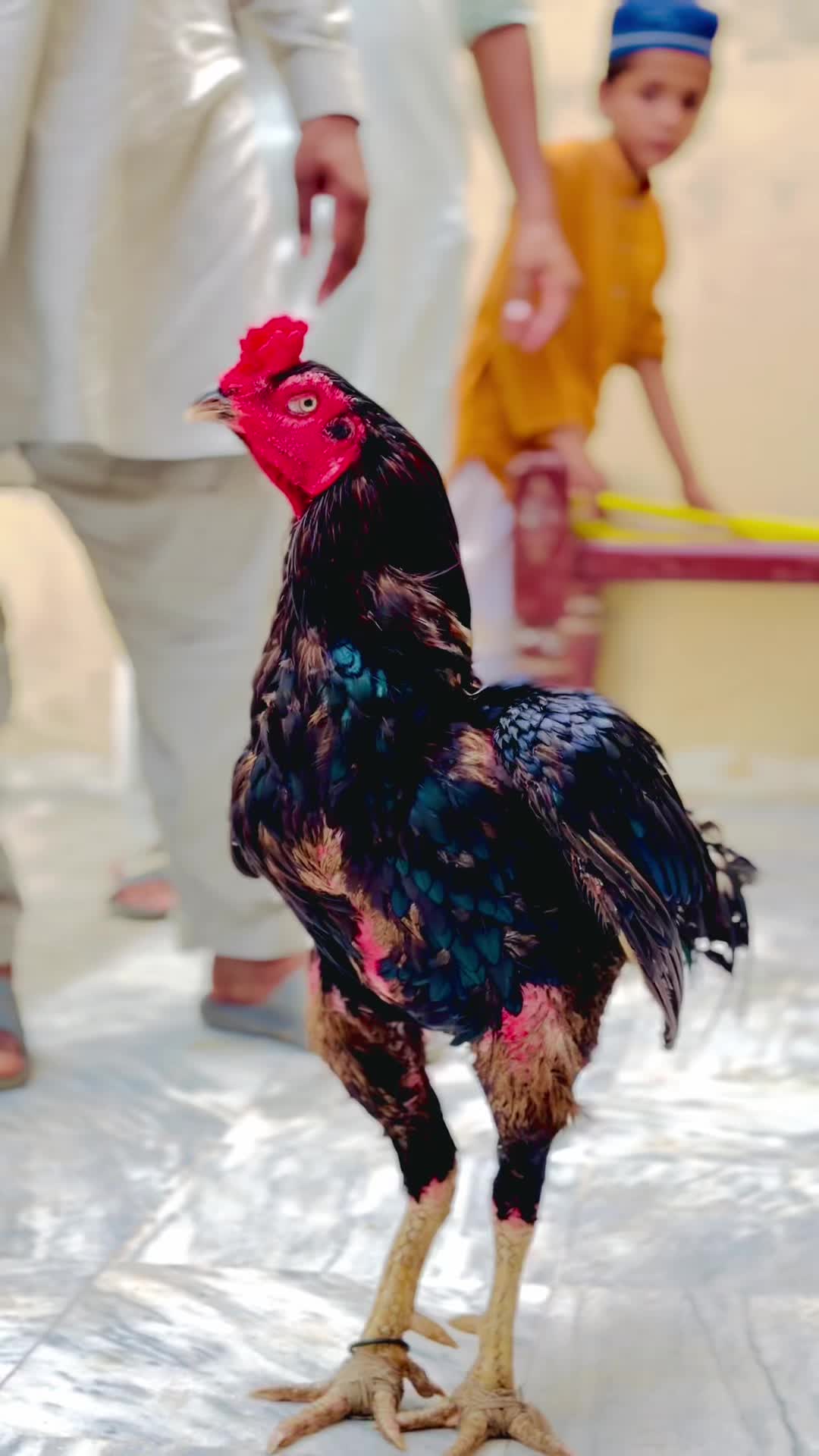 @🇹🇷الیاس بھٹی🇵🇰