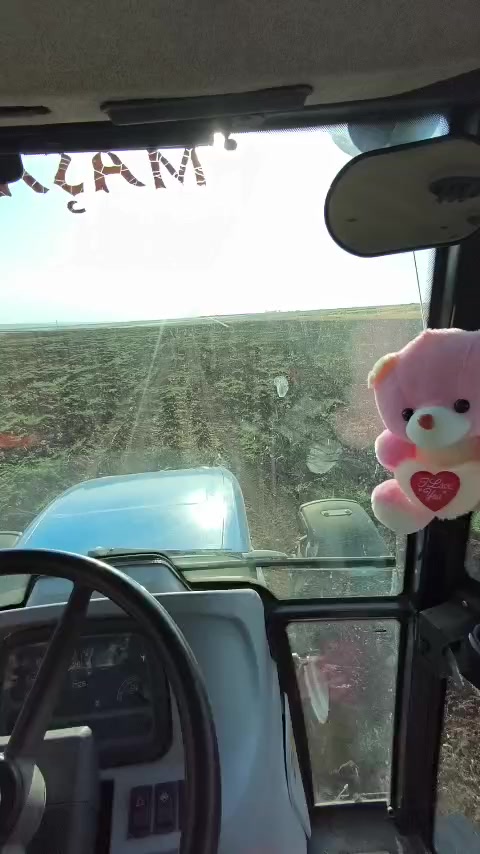 @reyis üzeyranlı