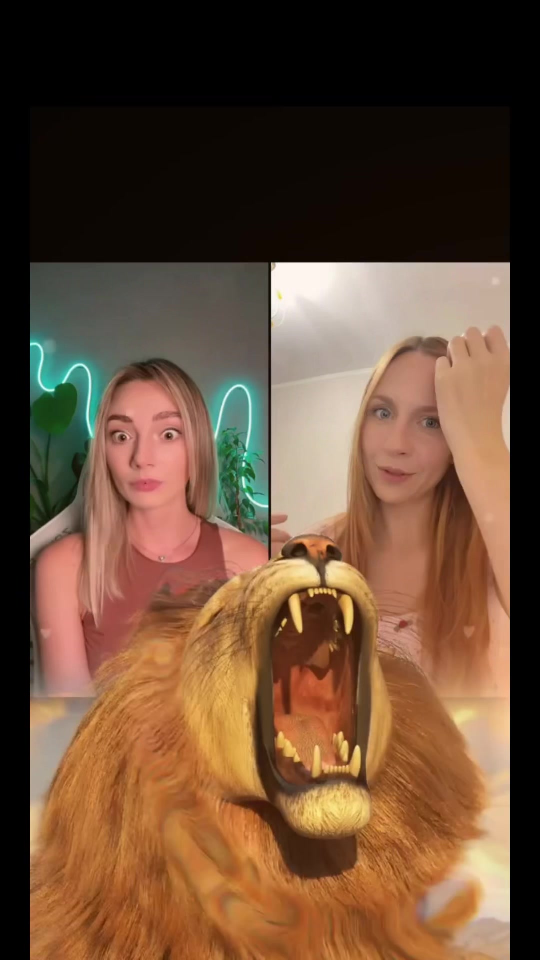 @saharok.anna