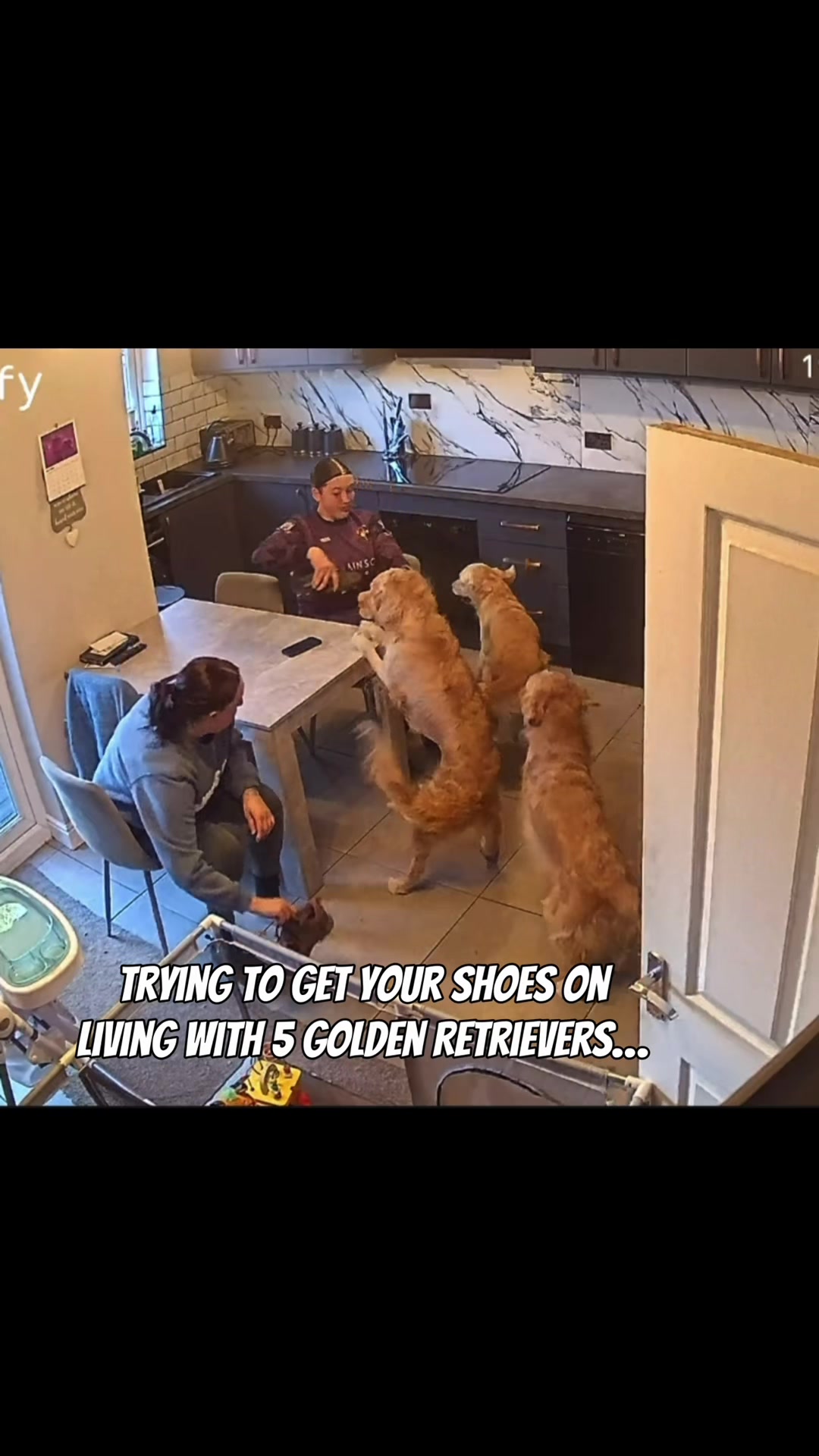 @5 Shades of Golden