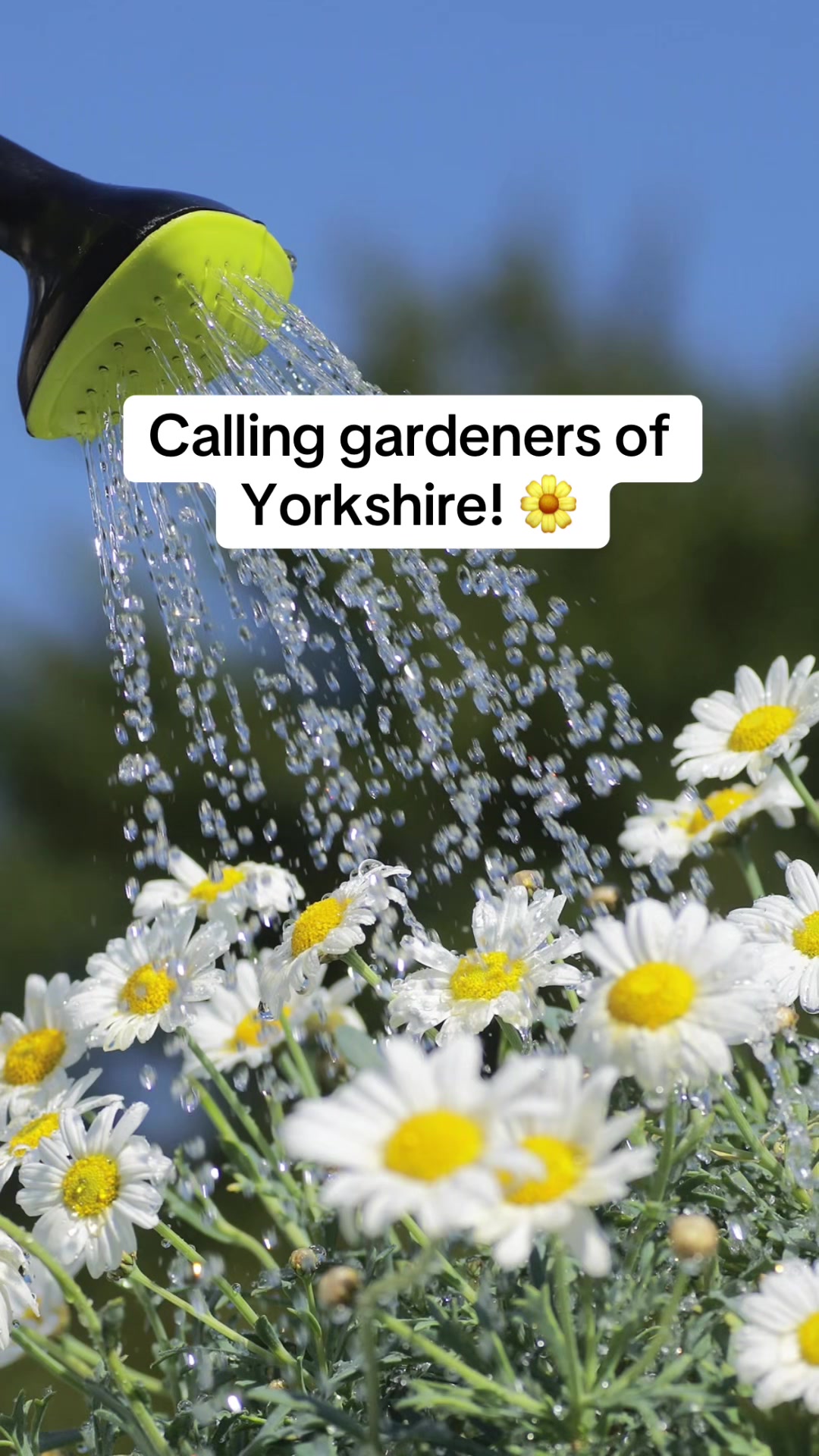 @Yorkshire Water