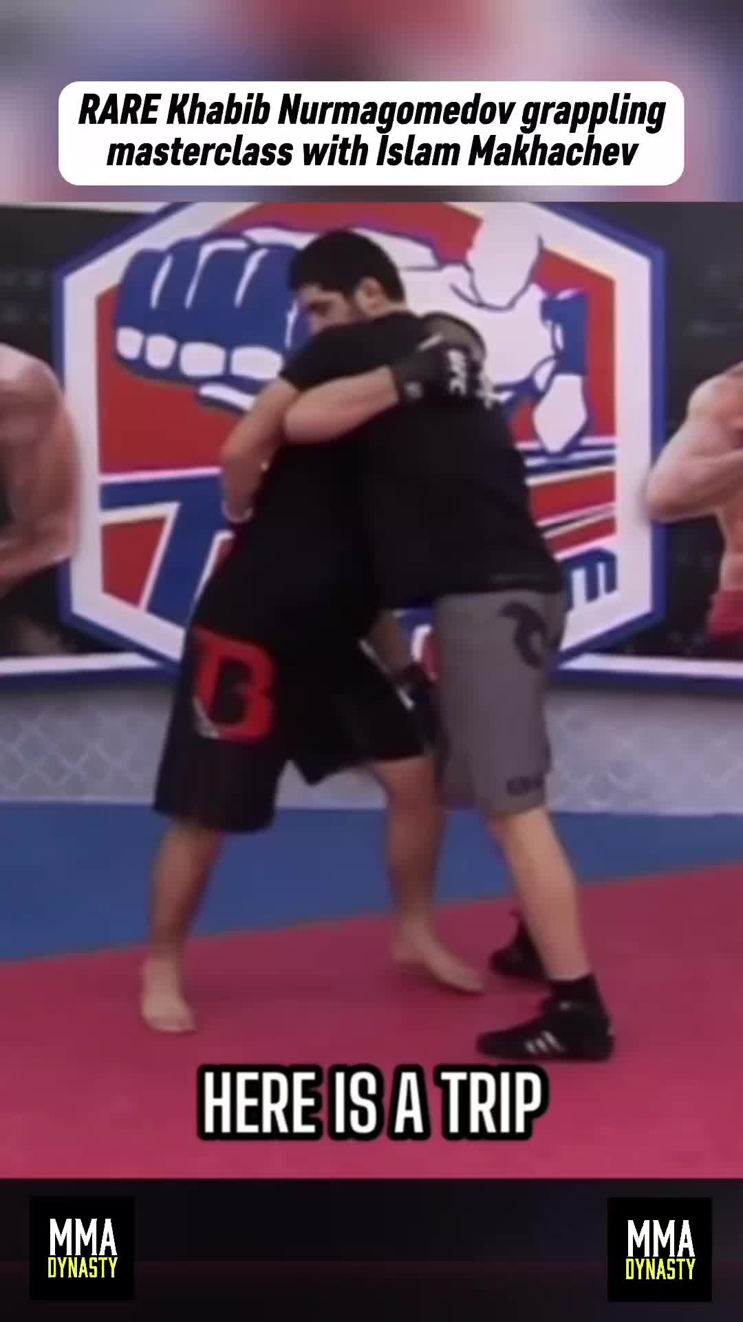 @mma_dynasty
