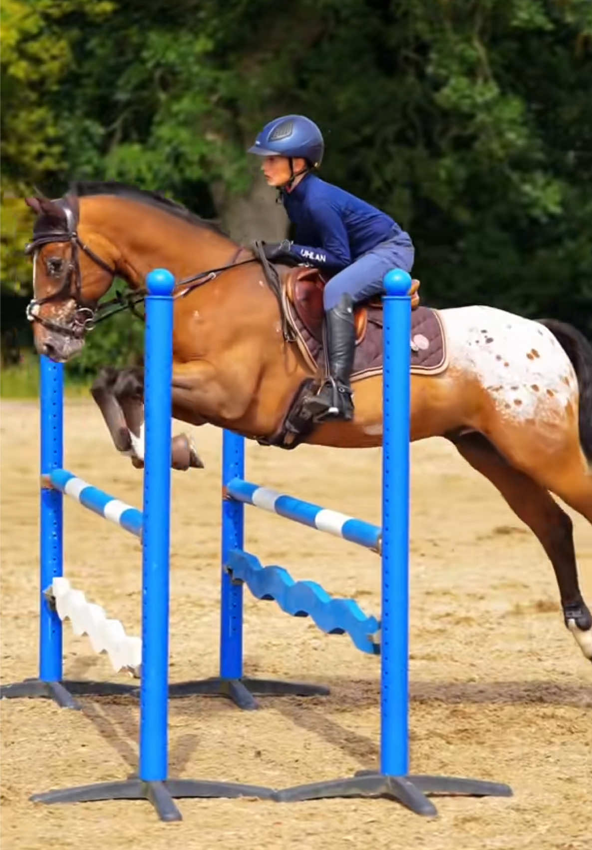 @Uhlan Equestrian