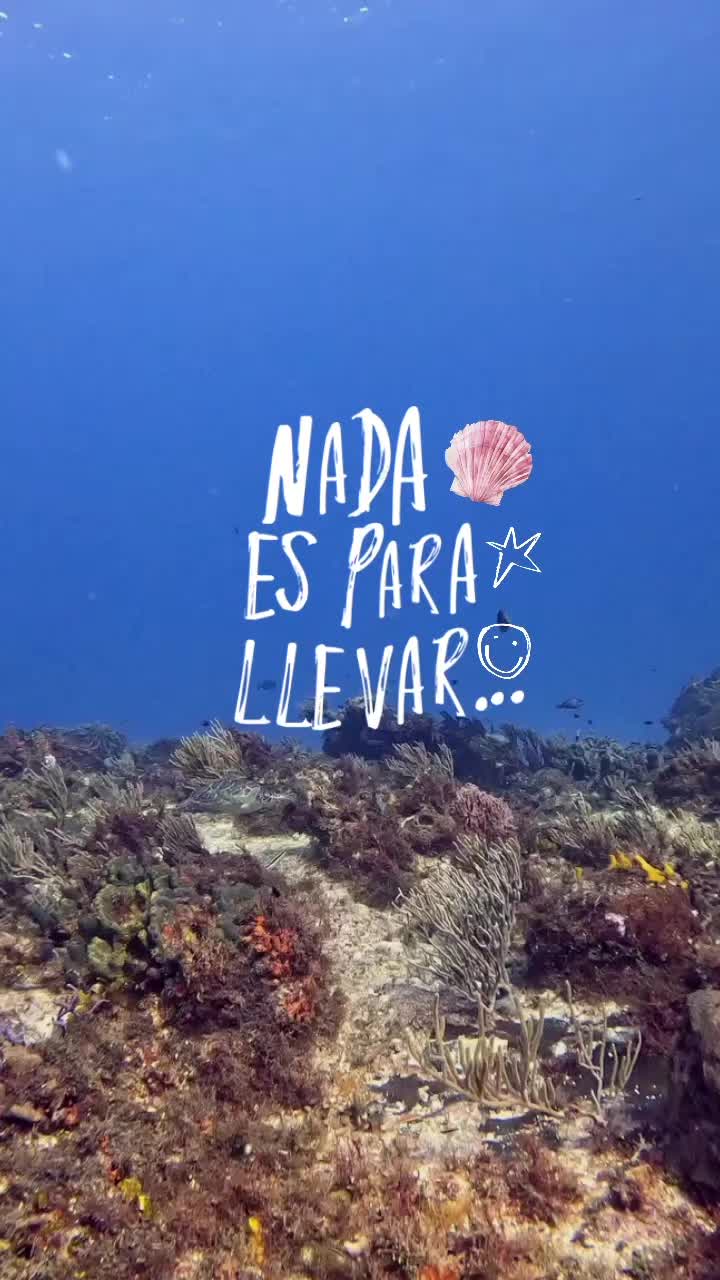 @Isa Ferreira