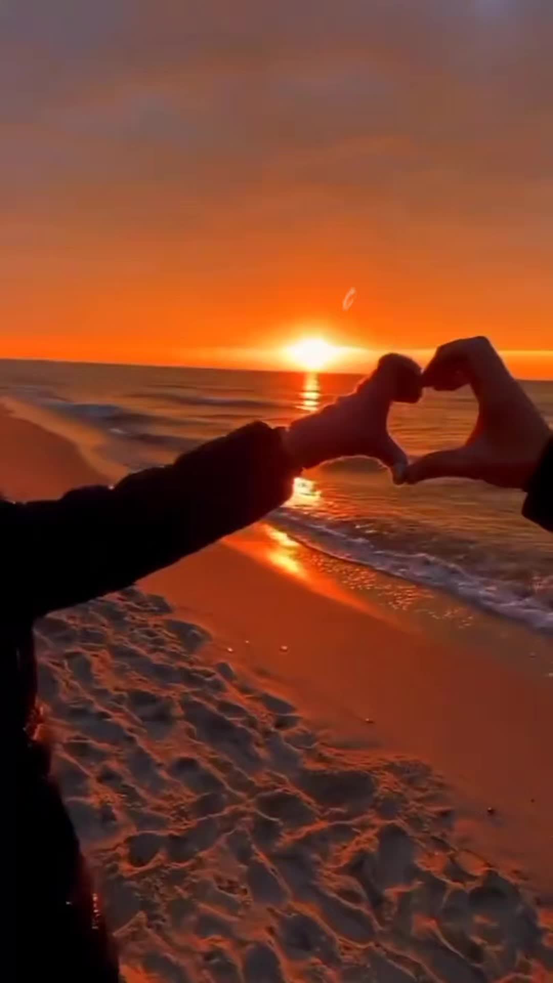 @frdricdeshayes6