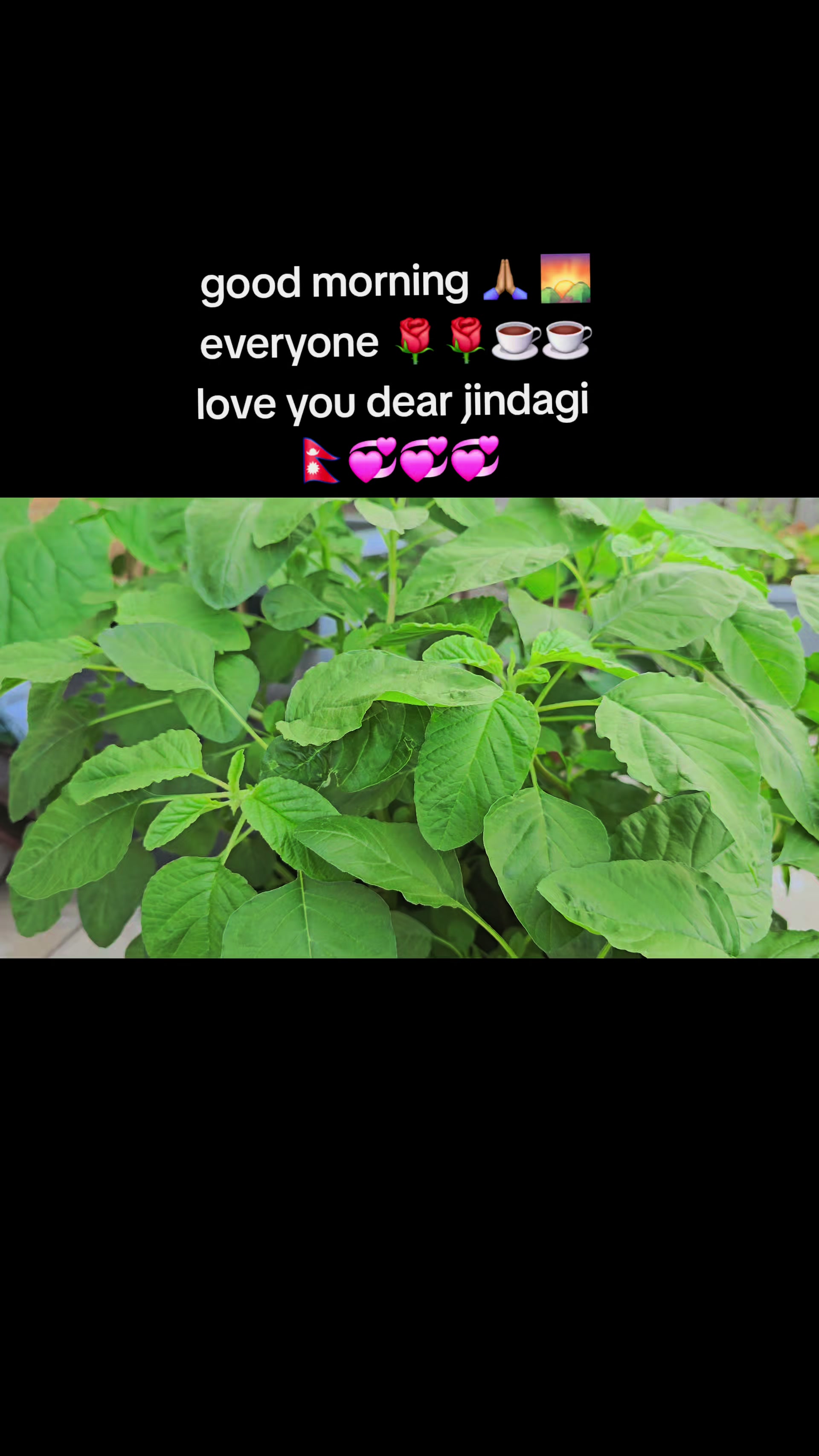 @RanuAdhikariKunwar....