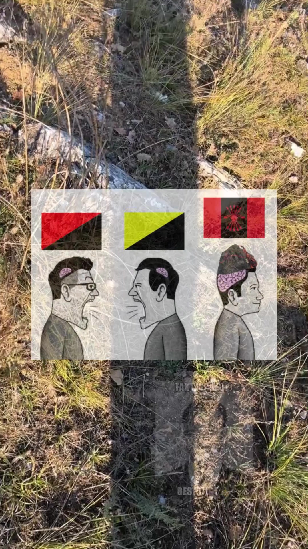 @🛠️🇩🇪