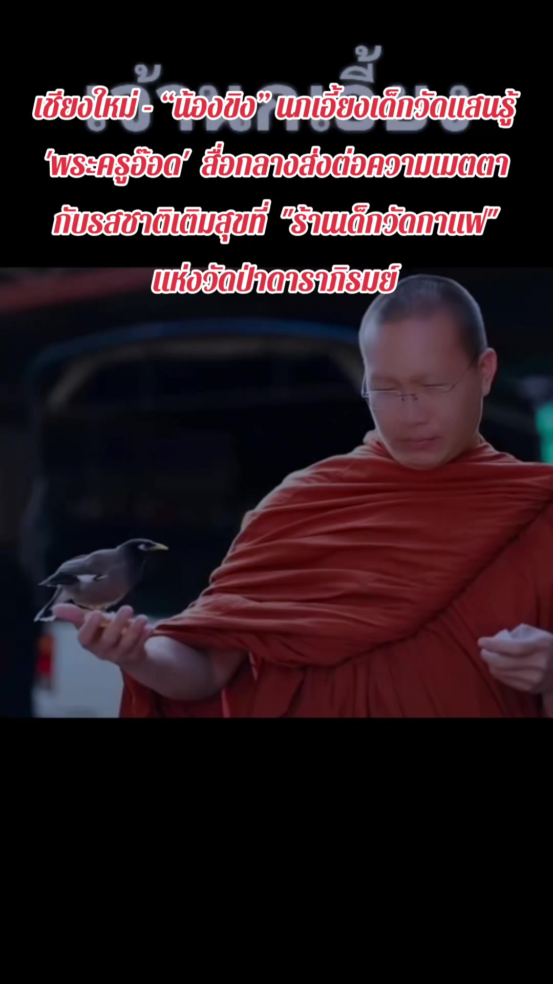 @มะหิสุตัง💜🕷️🕸️