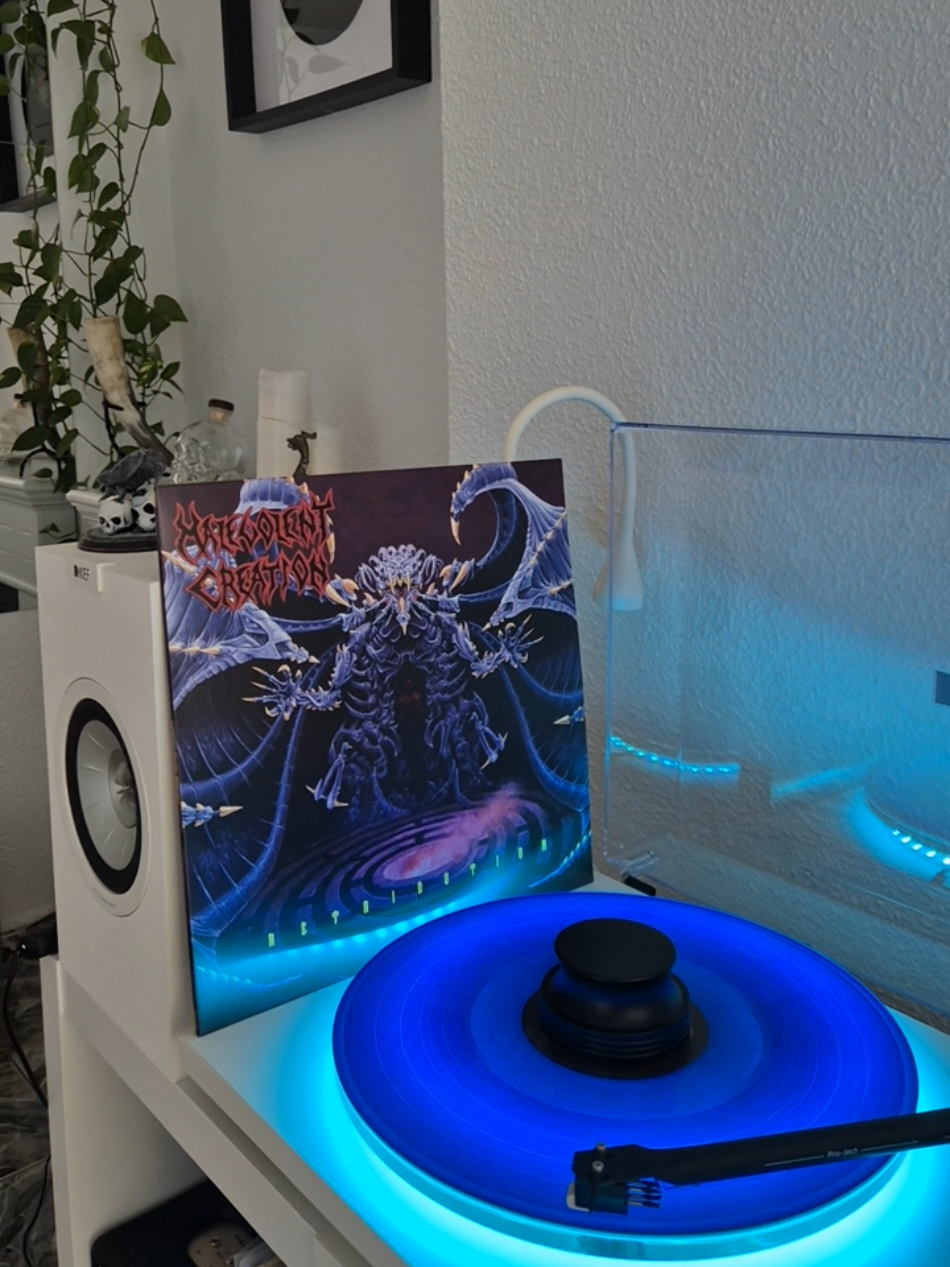 @r.vinylcollector