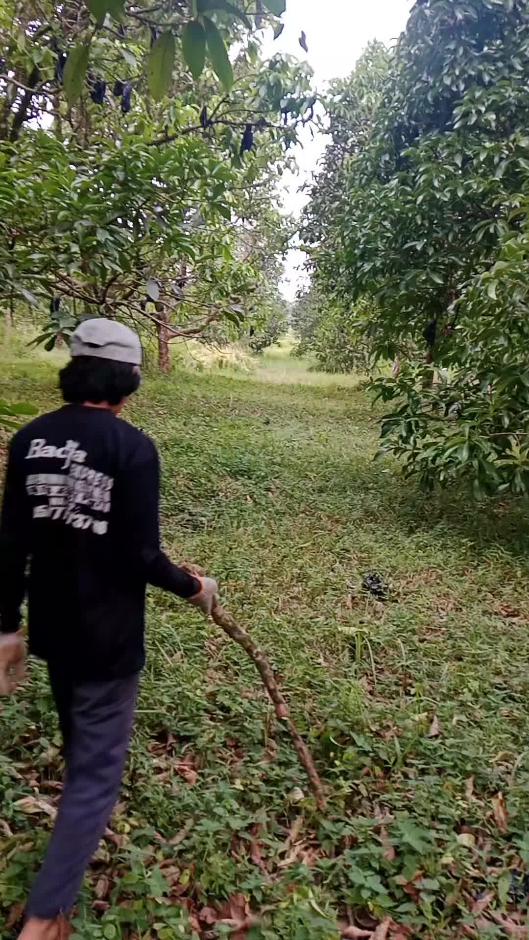 @Hilmanaria2