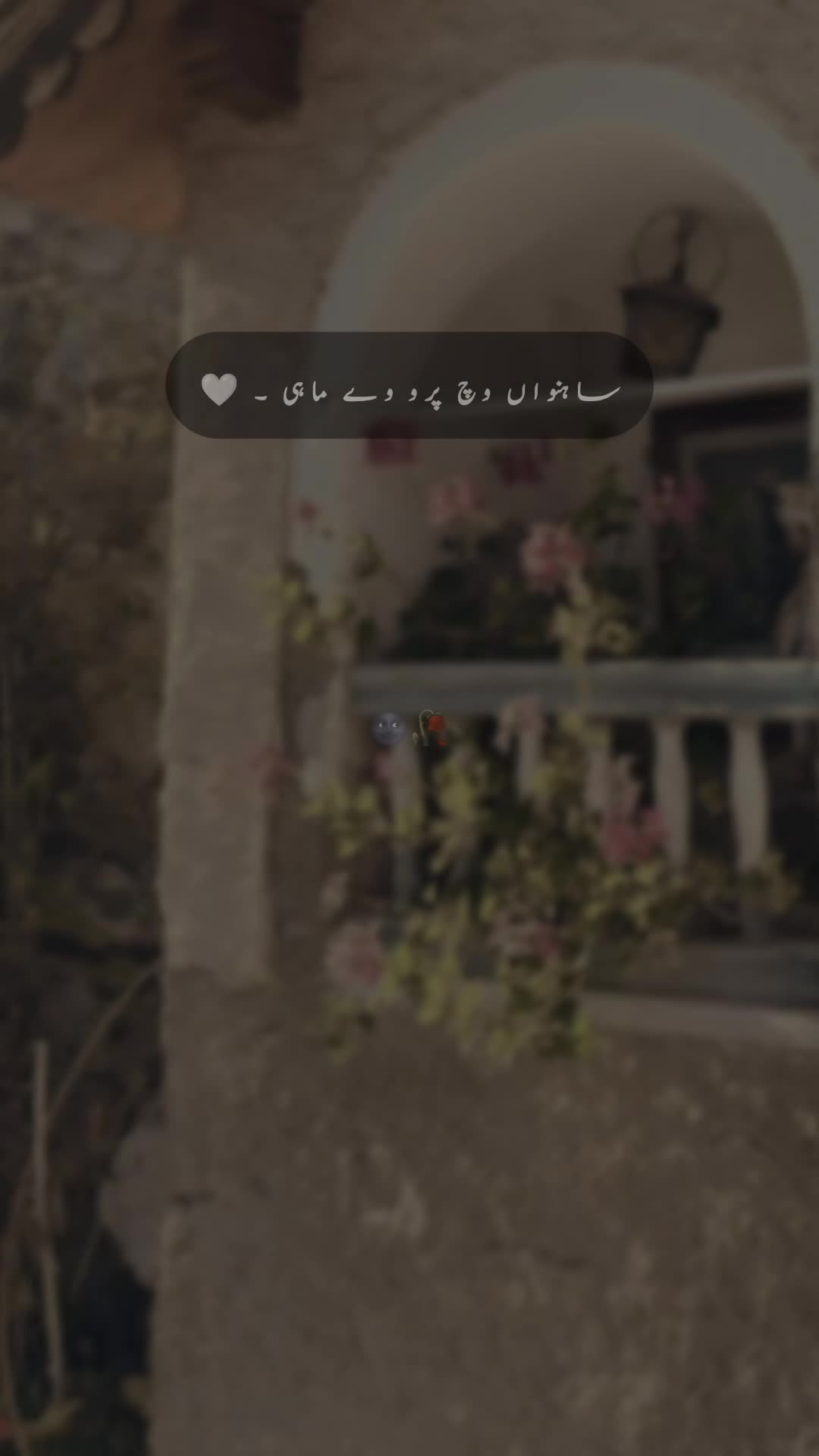 @𝐒 𝐚 𝐌 𝐢 🍂🫀