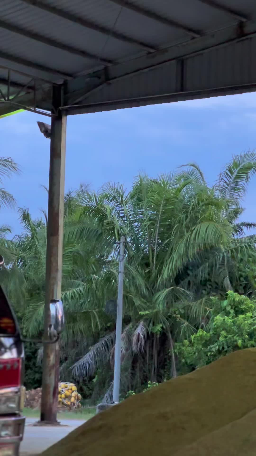 @Matzu.1657
