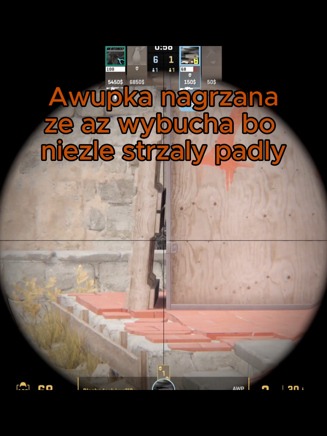 @Csowy.swirek