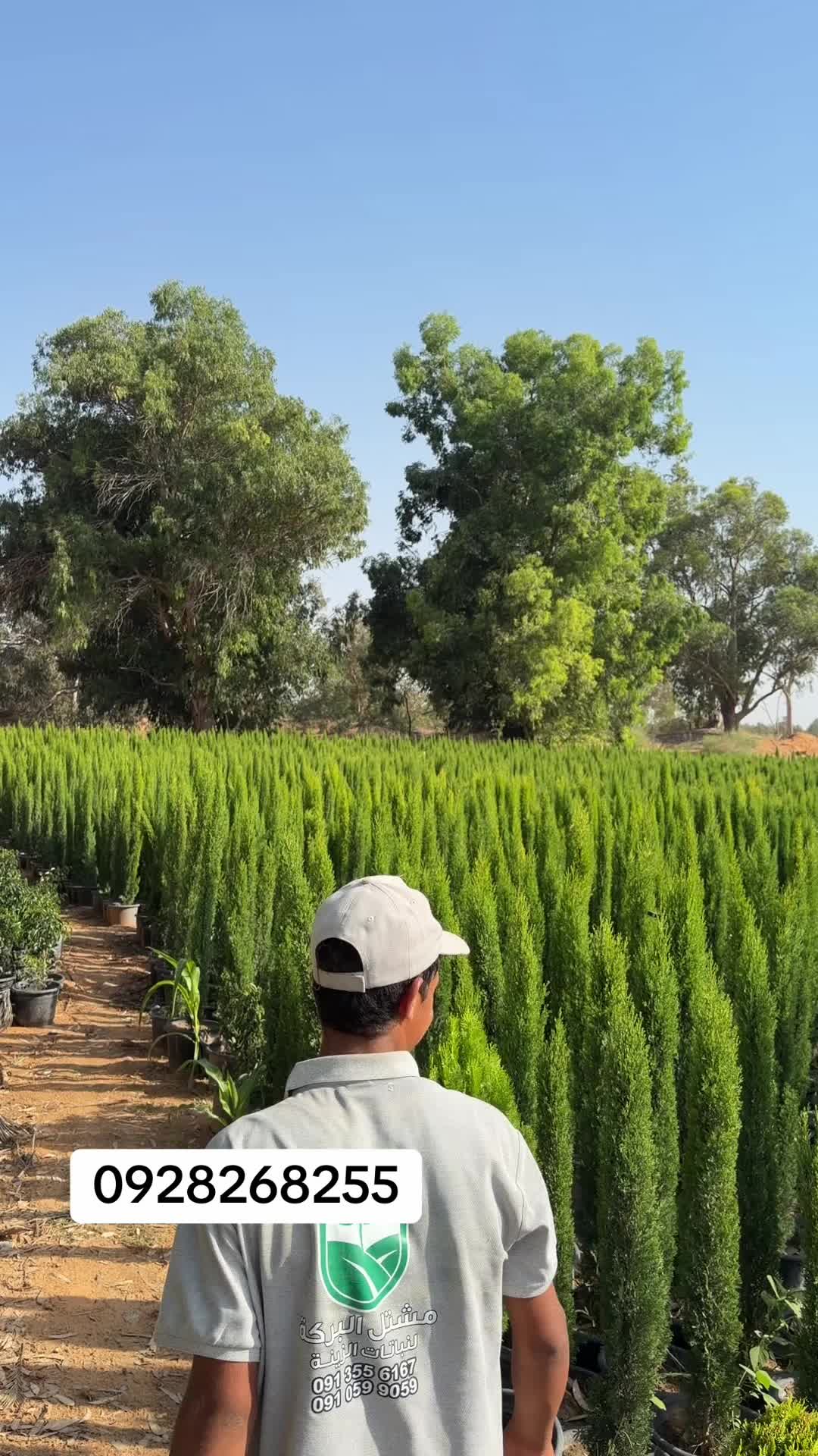 @مشتل البركة