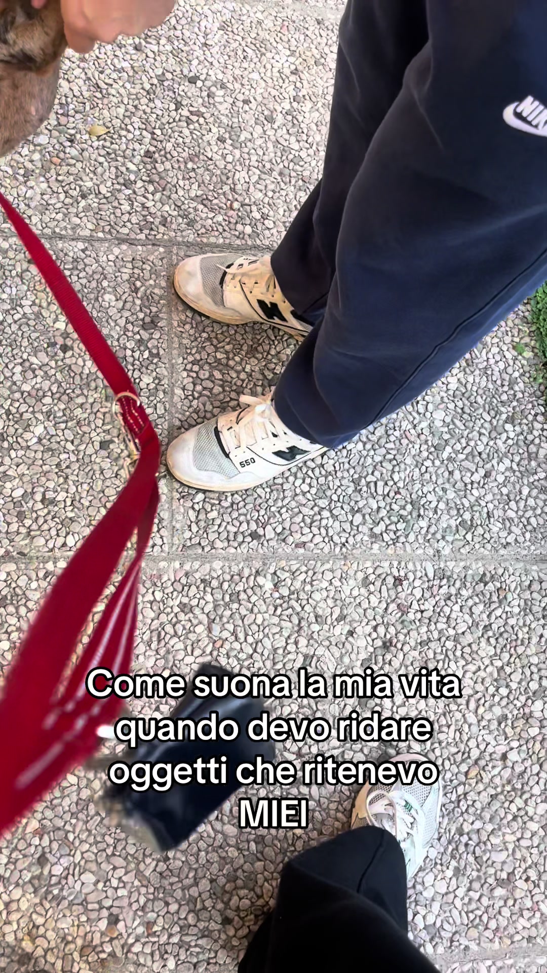 @Giulia🧚🏼♀️🧜🏼♀️🧝🏼♀️