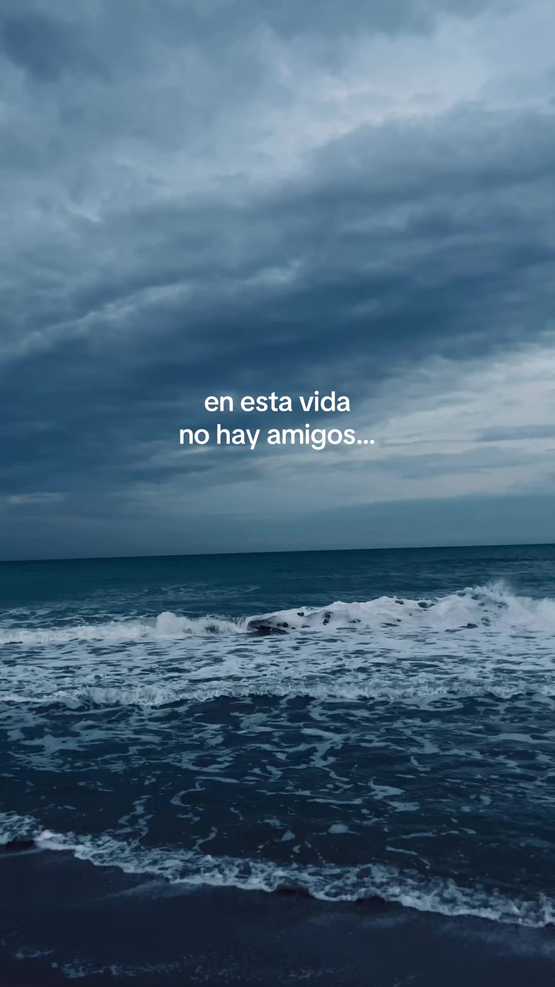 @ozzy 🦈