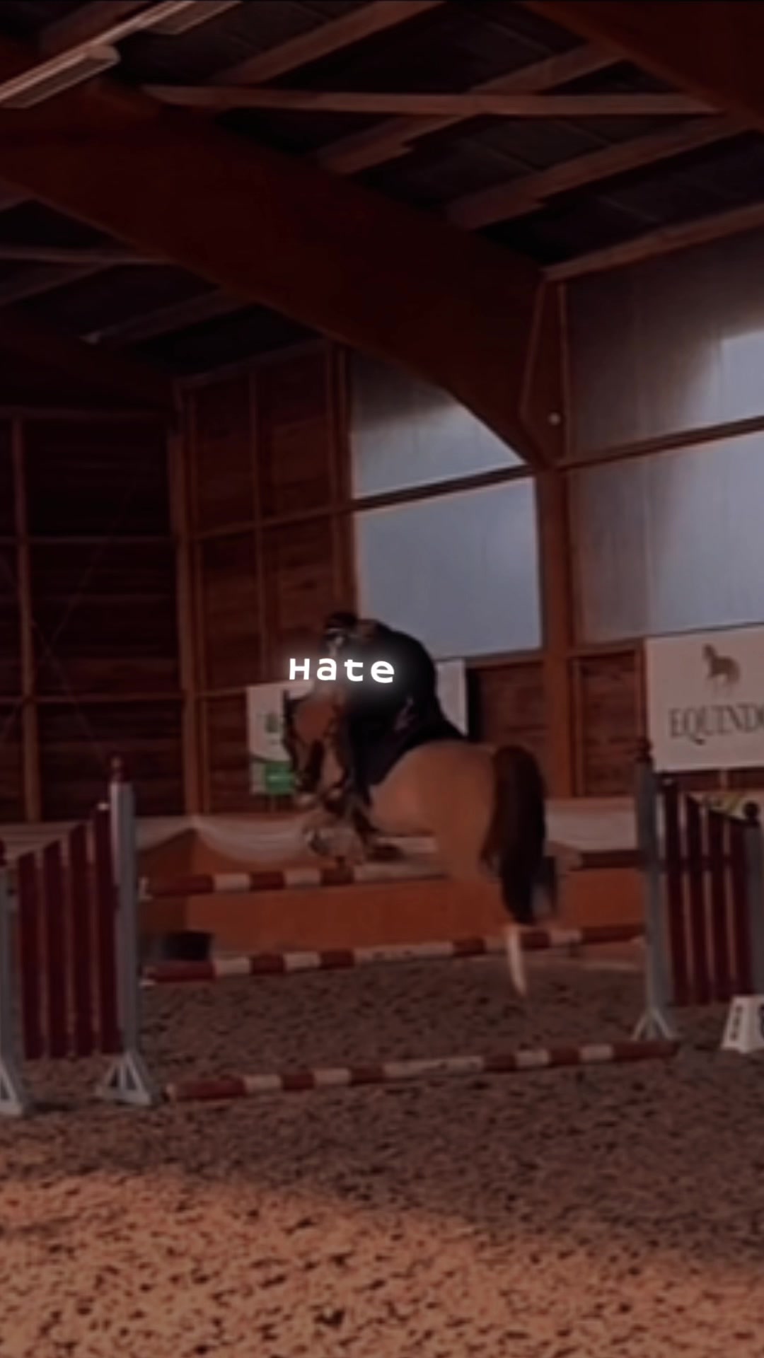 @horse_edits