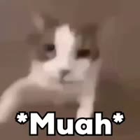 @Ralseiilgooner
