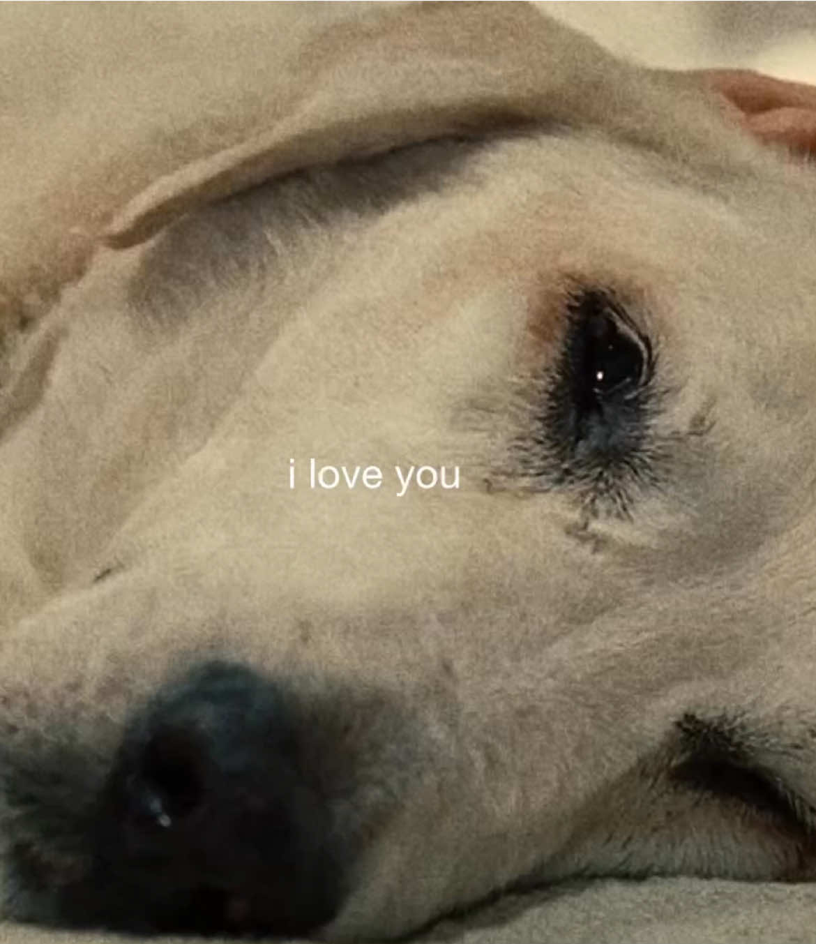 @beaux