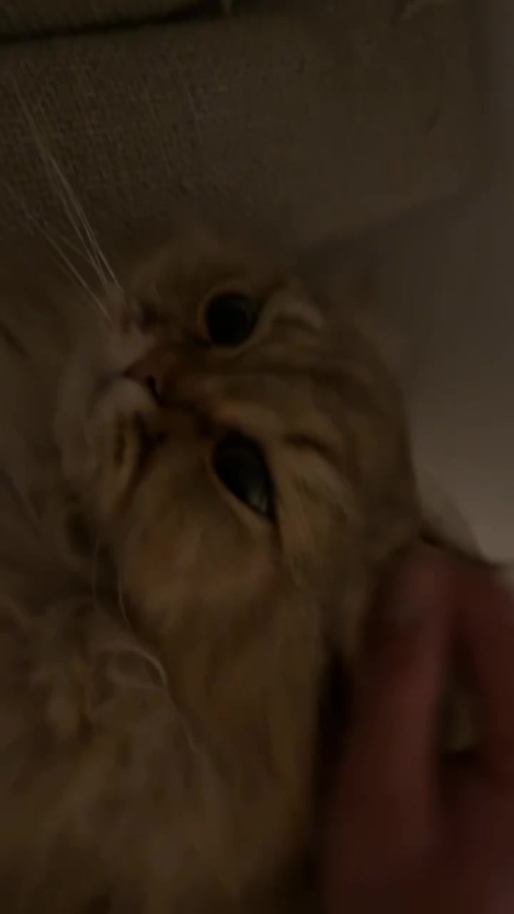 @Cubbs_