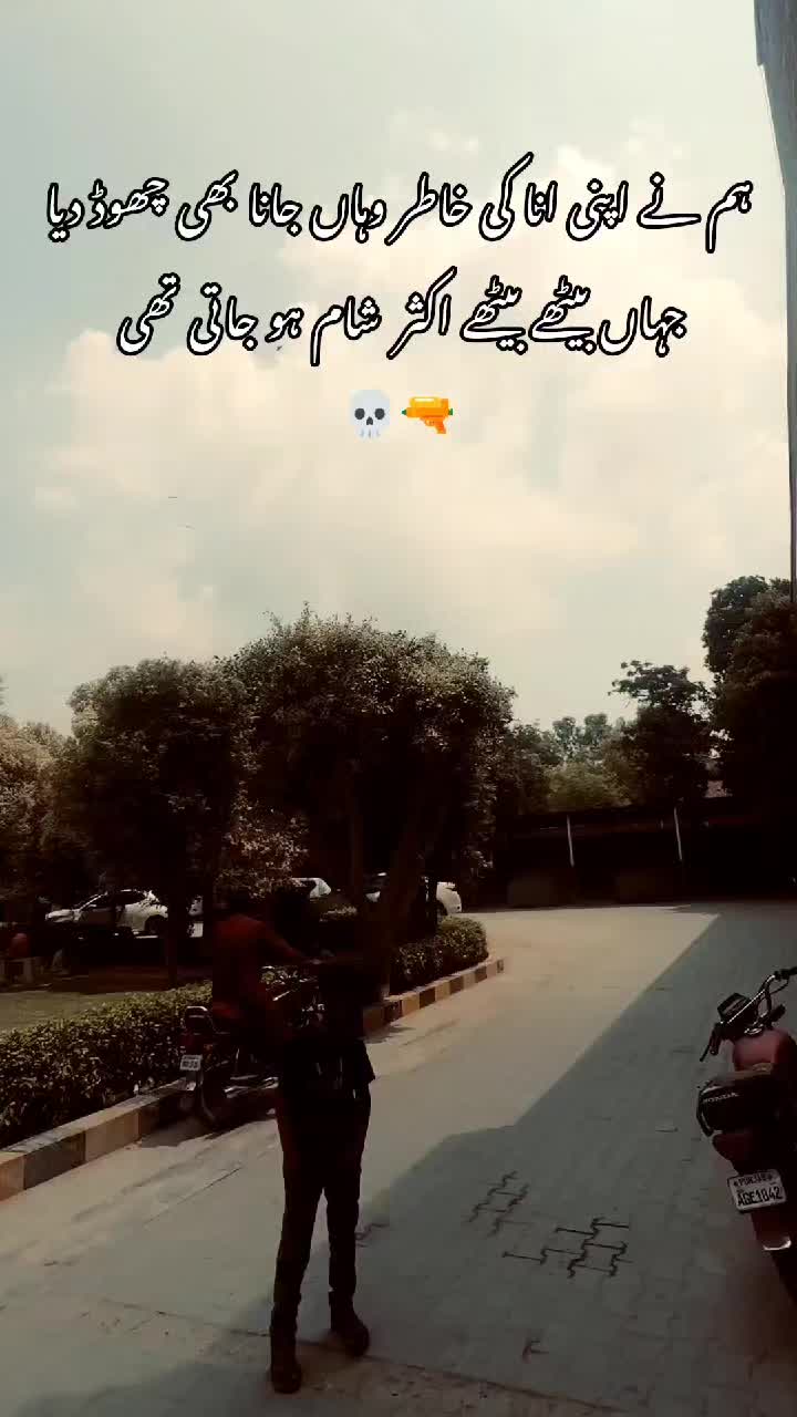 @✭🌷