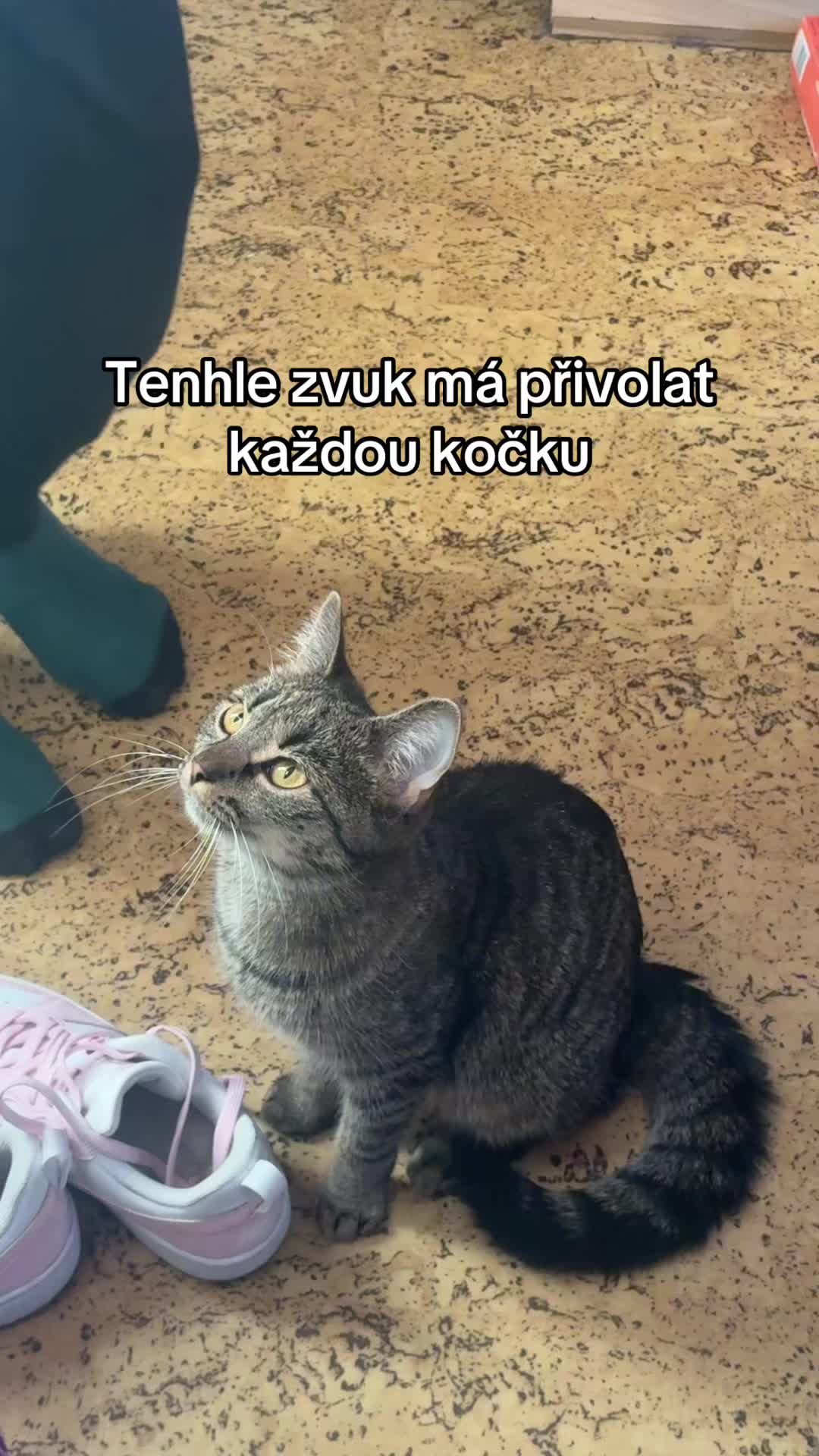 @Kubánka🇨🇺💗