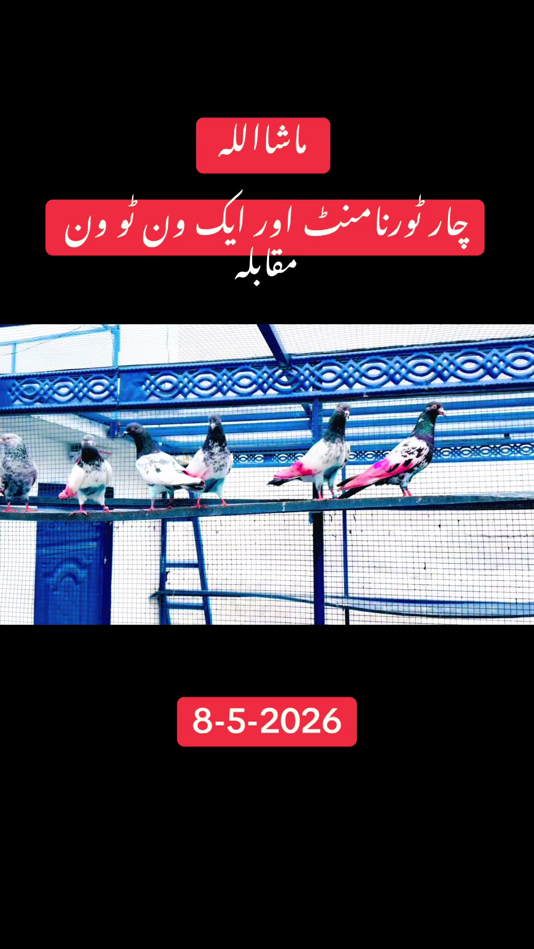 @Asadkazi