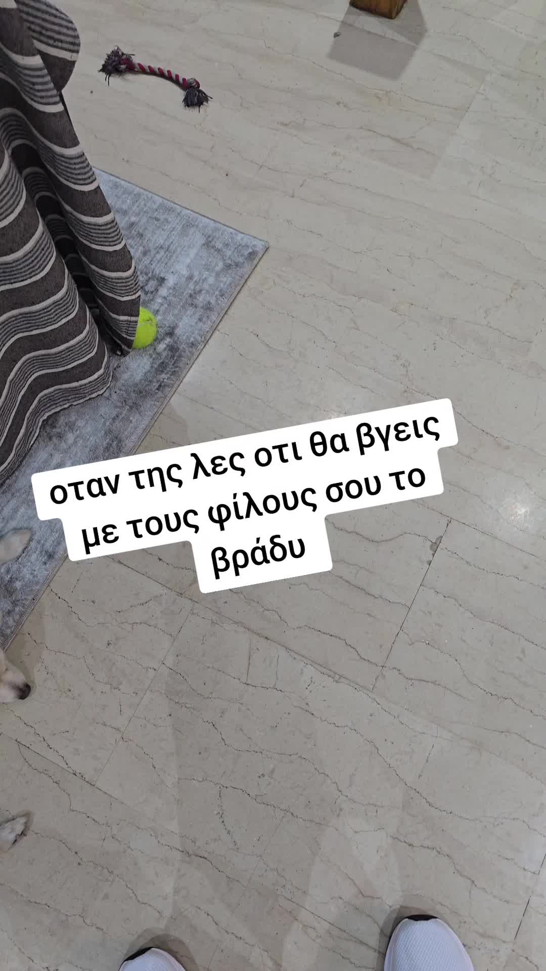 @Fotis Nikou