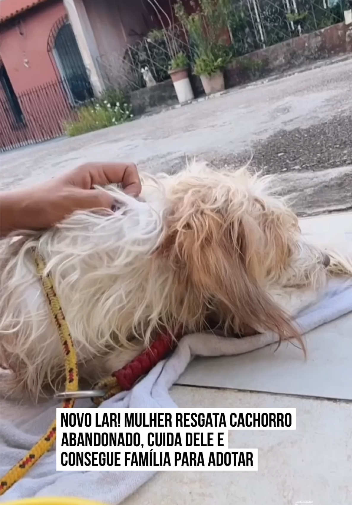 @Metr&oacute;poles Oficial