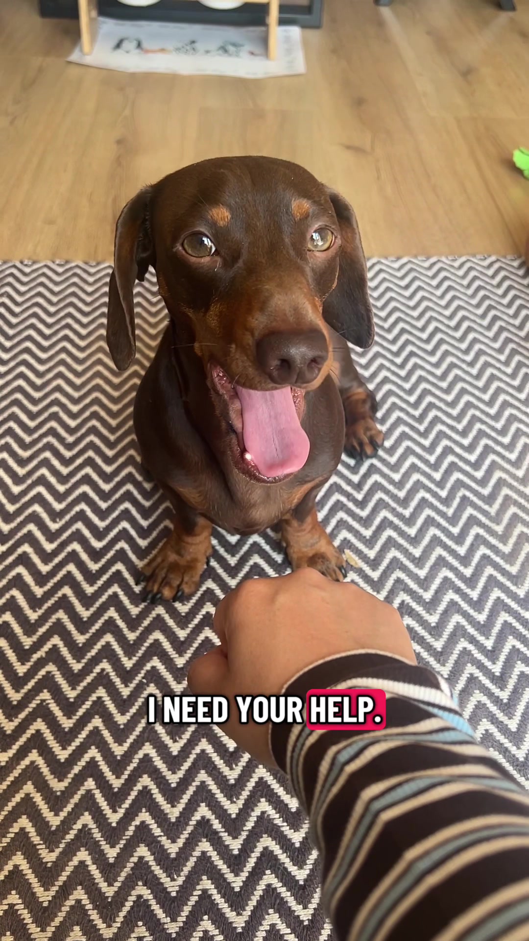 @sir_reggiethesausage