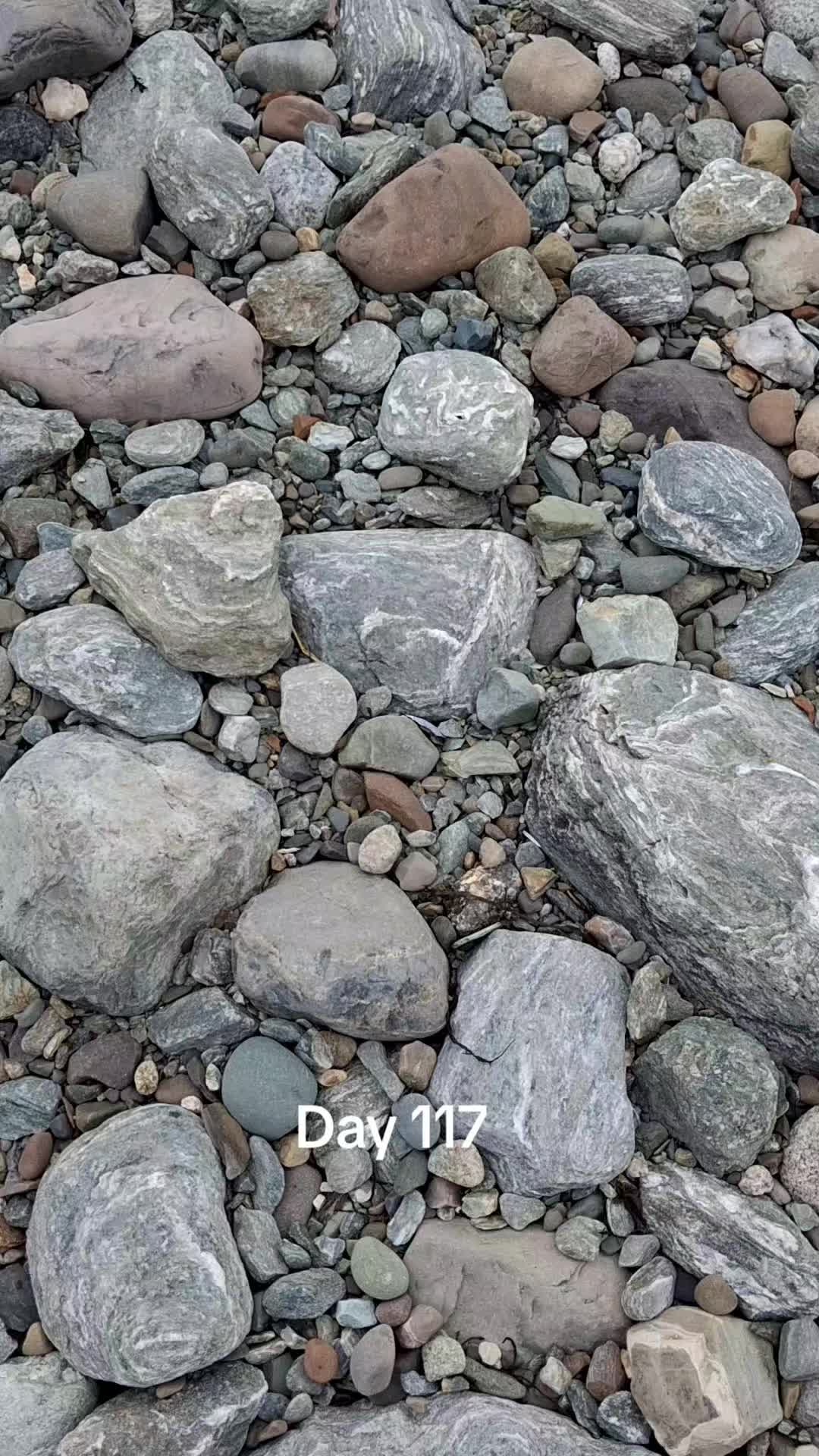 @EveninAcadia