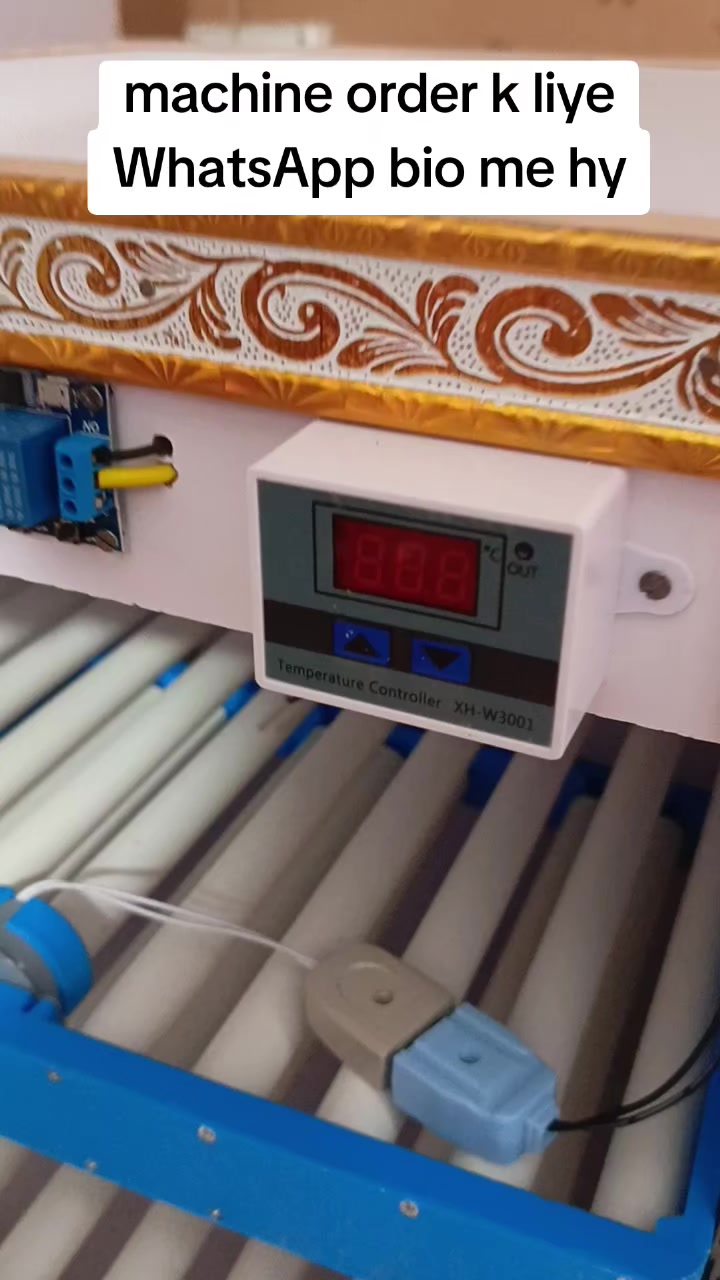 @Hazara Incubators