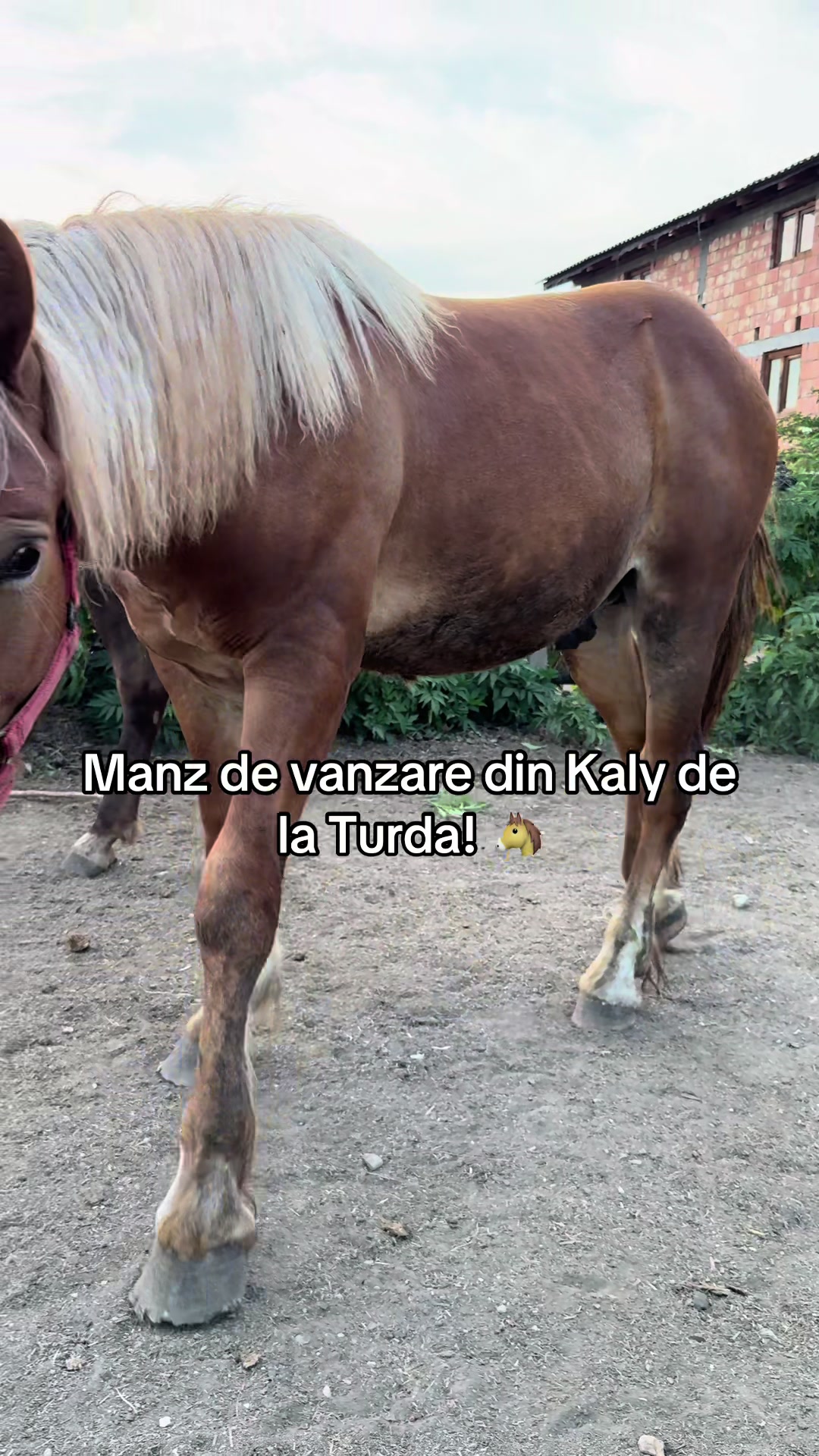 @Emanuel Slevas