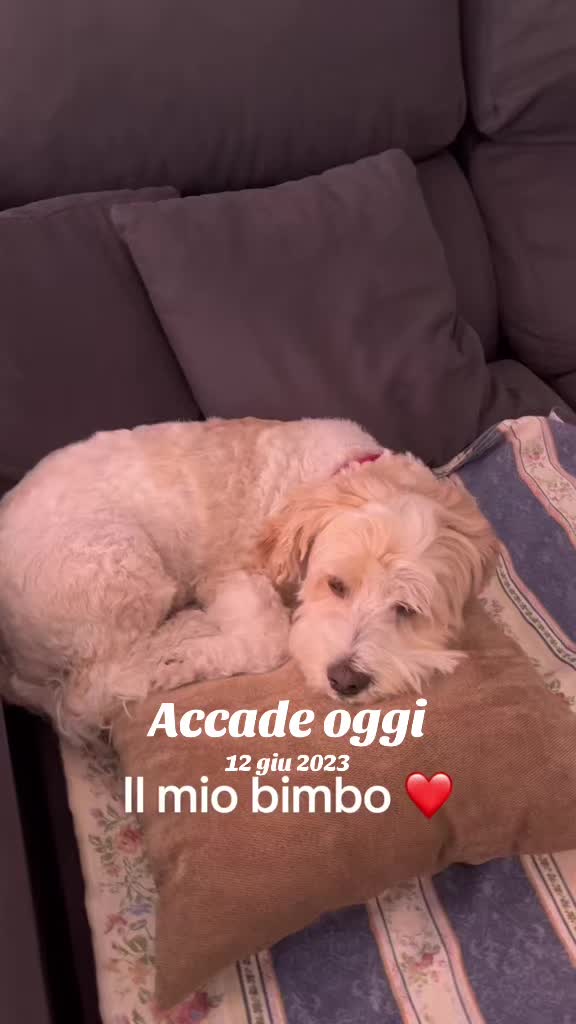 @Micina— annamaria