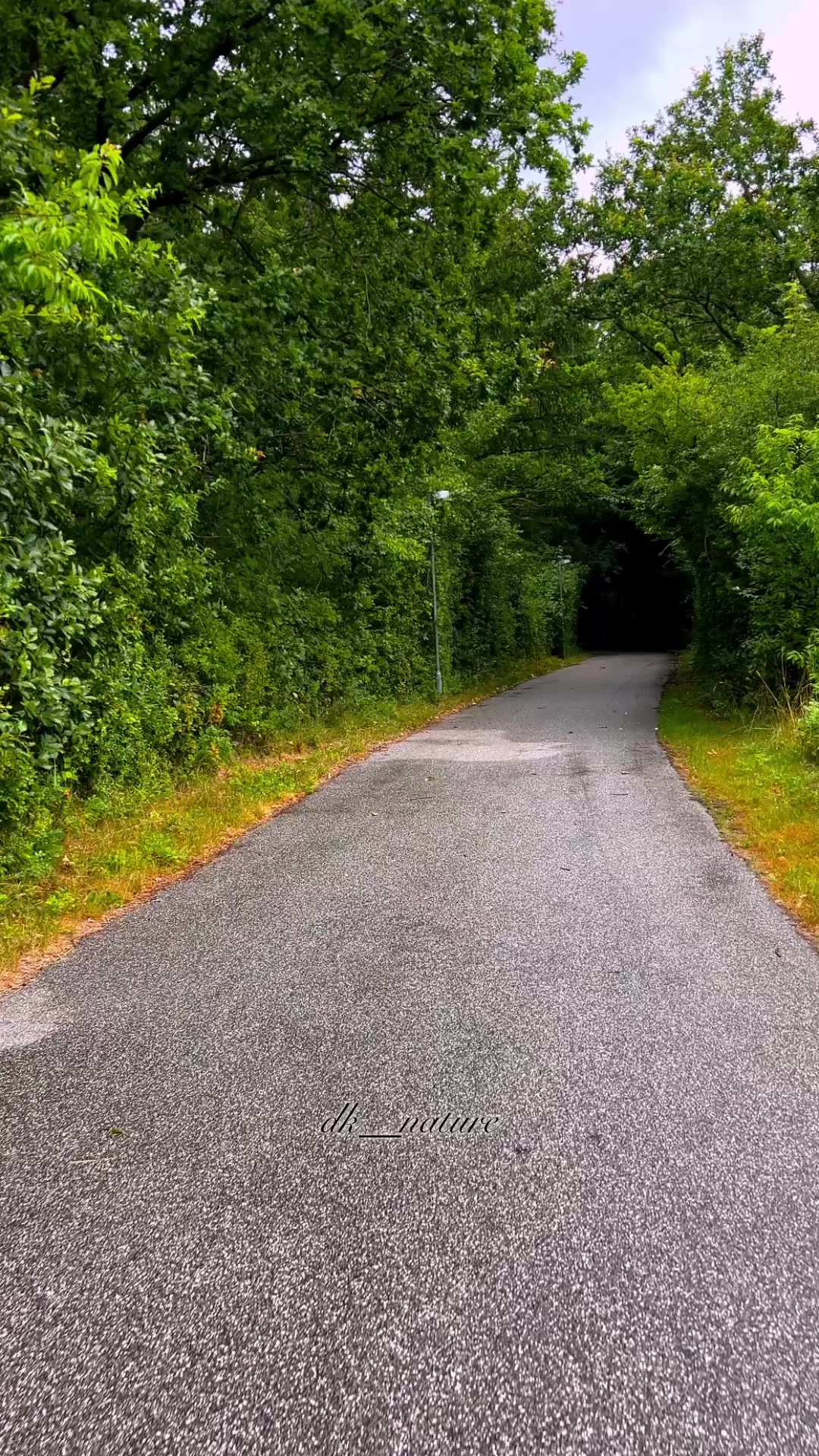 @dk__nature 🇩🇰
