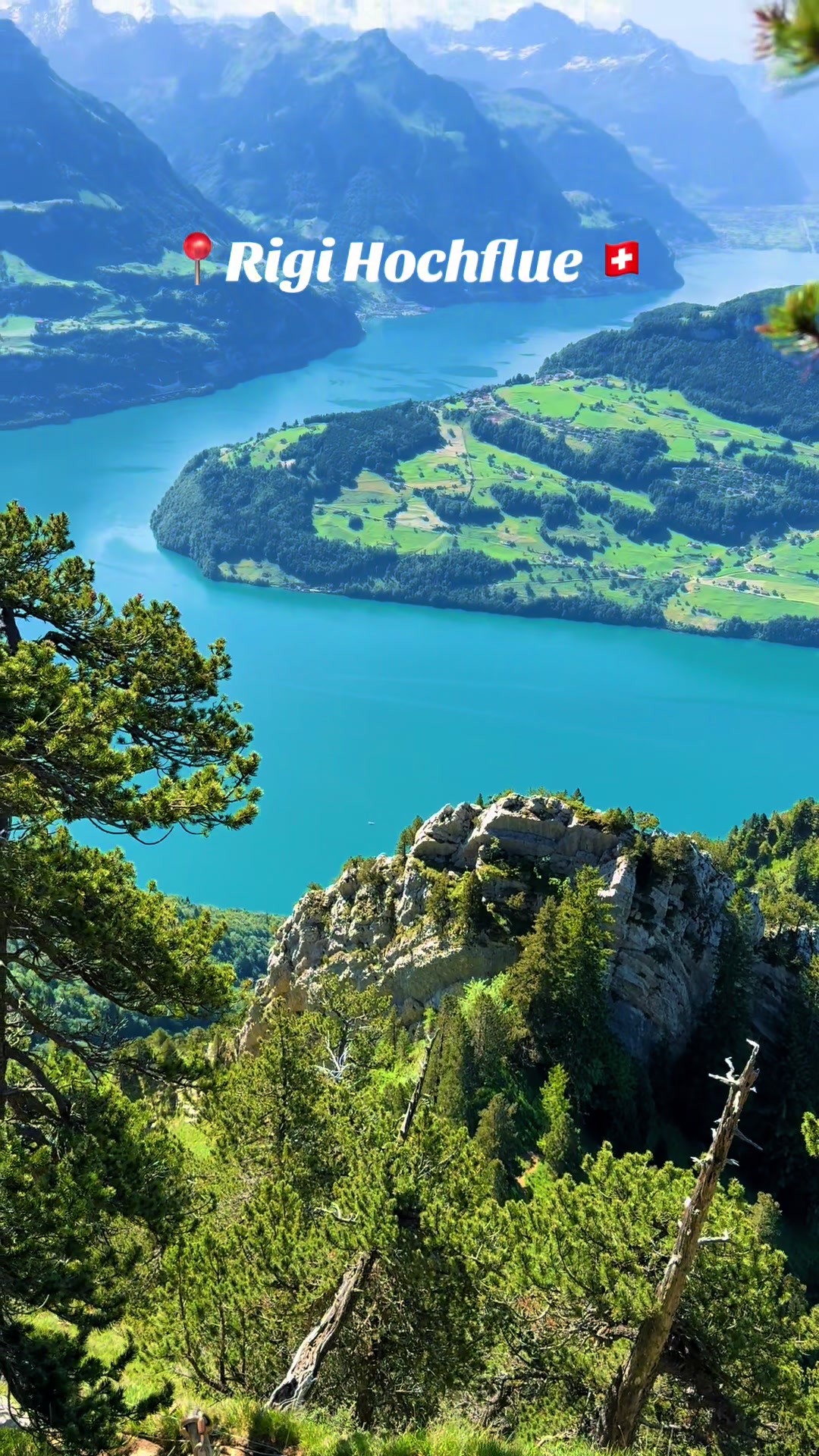 @swiss_alps