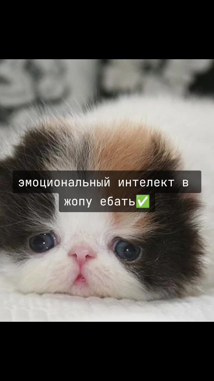 @별Мōрсэээ