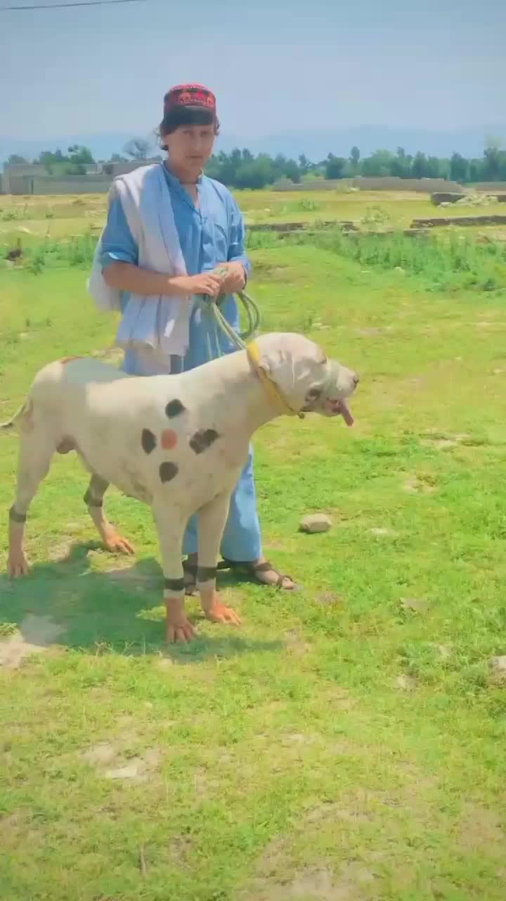 @𝘼𝙕𝘼𝙉 🦅 𝘽𝙖𝙘𝙝𝙖