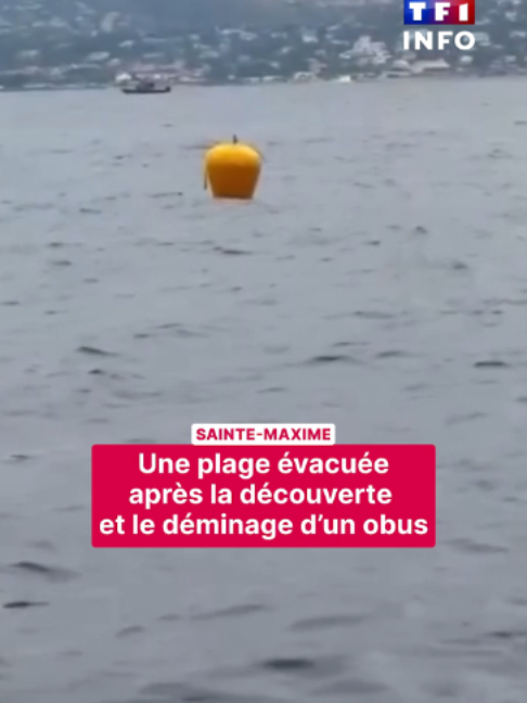 @TF1 INFO