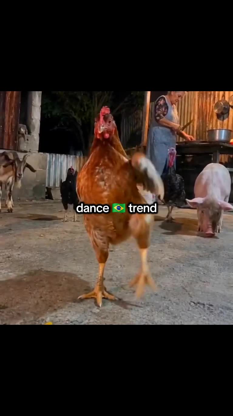 @JEREAL EDITZ